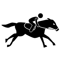 Icon 3